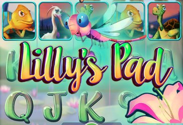 Lilly's Pad